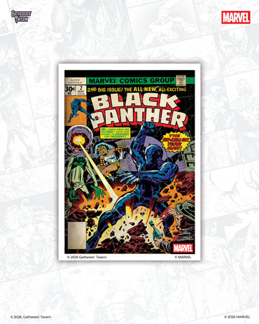 DOMARU Art Card Sleeves [Black Panther]