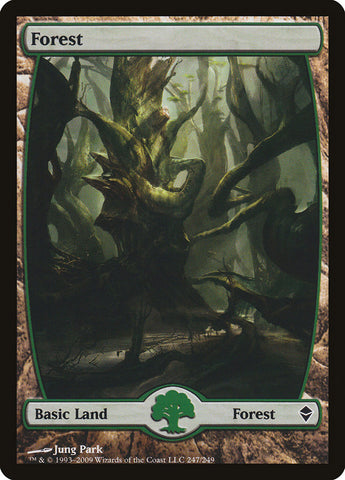 Forest (247) [Zendikar]